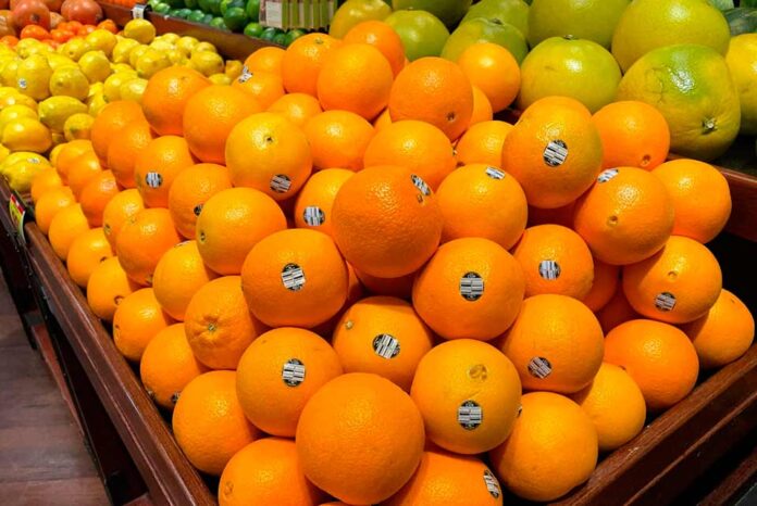 Sinclair presenta un nuevo portal web de recursos educativos Sinclair presenta un nuevo portal web de recursos educativos