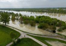 Siniestros agrícolas por eventos climáticos extremos han aumentado progresivamente y el cultivo más afectado en 2025 es la papa de guarda