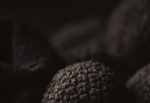 Trufas Araucanía consolida su expansión internacional con innovadores productos gourmet
