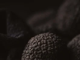 Trufas Araucanía consolida su expansión internacional con innovadores productos gourmet