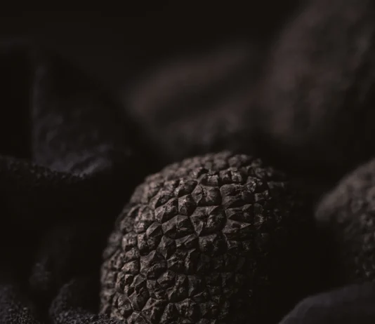 Trufas Araucanía consolida su expansión internacional con innovadores productos gourmet
