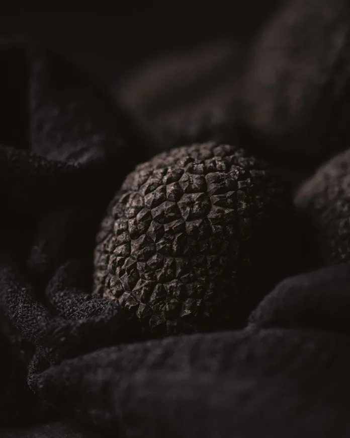 Trufas Araucanía consolida su expansión internacional con innovadores productos gourmet