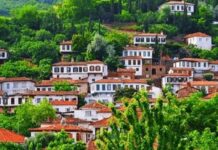 Turquía mercado emergente en la industria global del arándano