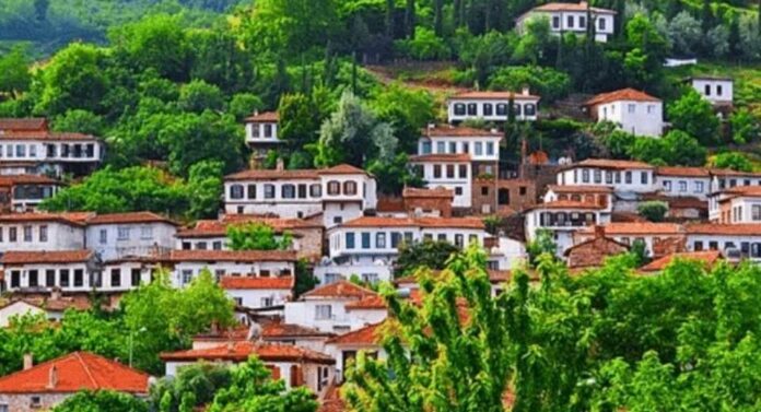 Turquía mercado emergente en la industria global del arándano