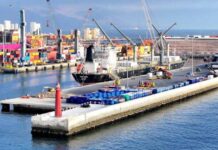 Un ingrediente natural para reducir las emisiones y mejorar la salud del ganado Un ingrediente natural para reducir las emisiones y mejorar la salud del ganado