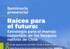 Valdivia será sede de encuentro clave para el futuro del bosque nativo