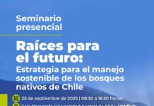 Valdivia será sede de encuentro clave para el futuro del bosque nativo