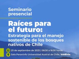 Valdivia será sede de encuentro clave para el futuro del bosque nativo