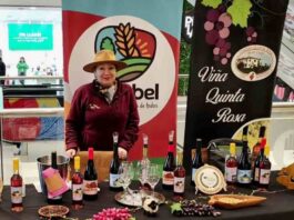 Viñateros del Biobío invitan a vivir Fiestas Patrias con degustaciones y tours por sus viñedos
