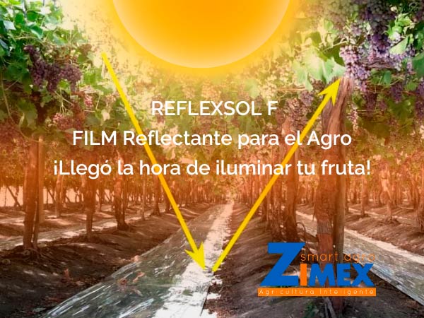 ZIMEX REFLEXSOL