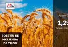 INE Biobío publica cifras de molienda de trigo correspondiente a agosto de 2025 INE Biobío publica cifras de molienda de trigo correspondiente a agosto de 2025