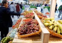 BBVA lleva a Fruit Attraction una propuesta diferencial para apoyar al sector agro