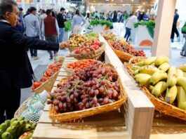 BBVA lleva a Fruit Attraction una propuesta diferencial para apoyar al sector agro BBVA lleva a Fruit Attraction una propuesta diferencial para apoyar al sector agro