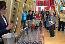 Empresas pisqueras de Coquimbo estarán presentes en la Expo Osaka en Japón