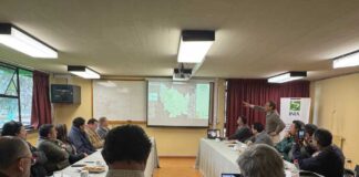 panaderos se integran a la mesa del trigo de ñuble y fortalecen la coordinación de la cadena triguera