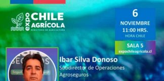 AGROSEGUROS DICTARÁ CHARLA SOBRE SEGUROS COLECTIVOS CON SUBSIDIO ESTATAL EN EXPO CHILE AGRÍCOLA 2025 AGROSEGUROS DICTARÁ CHARLA SOBRE SEGUROS COLECTIVOS CON SUBSIDIO ESTATAL EN EXPO CHILE AGRÍCOLA 2025
