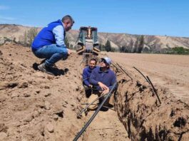 Agricultor de Ovalle optimizará el agua para sus cultivos mediante innovador sistema de riego subterráneo bonificado por la CNR