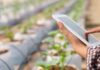 América Latina acelera su liderazgo en innovación agrícola sostenible y digital