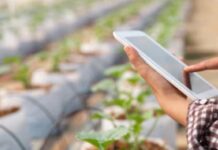 América Latina acelera su liderazgo en innovación agrícola sostenible y digital
