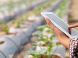 América Latina acelera su liderazgo en innovación agrícola sostenible y digital