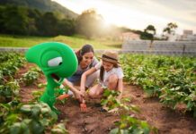 Bci refuerza su oferta de productos verdes para impulsar la sostenibilidad