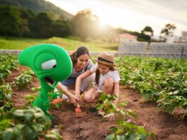 Bci refuerza su oferta de productos verdes para impulsar la sostenibilidad Bci refuerza su oferta de productos verdes para impulsar la sostenibilidad