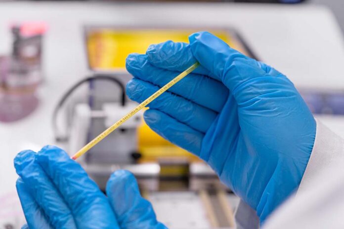 Benchmark Genetics Chile avanza en nuevos servicios genéticos y se prepara para LACQUA 2025