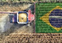 Brasil encara una nueva campaña agrícola con récord de superficie sembrada