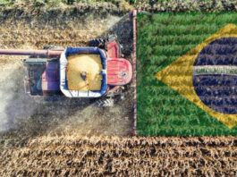 Brasil encara una nueva campaña agrícola con récord de superficie sembrada