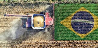 Brasil encara una nueva campaña agrícola con récord de superficie sembrada