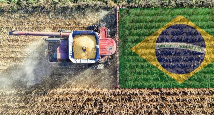 Brasil encara una nueva campaña agrícola con récord de superficie sembrada
