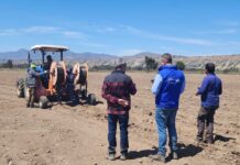 CNR bonifica sistema de riego subterráneo que optimiza el uso del agua en beneficio de pequeño agricultor de Limarí