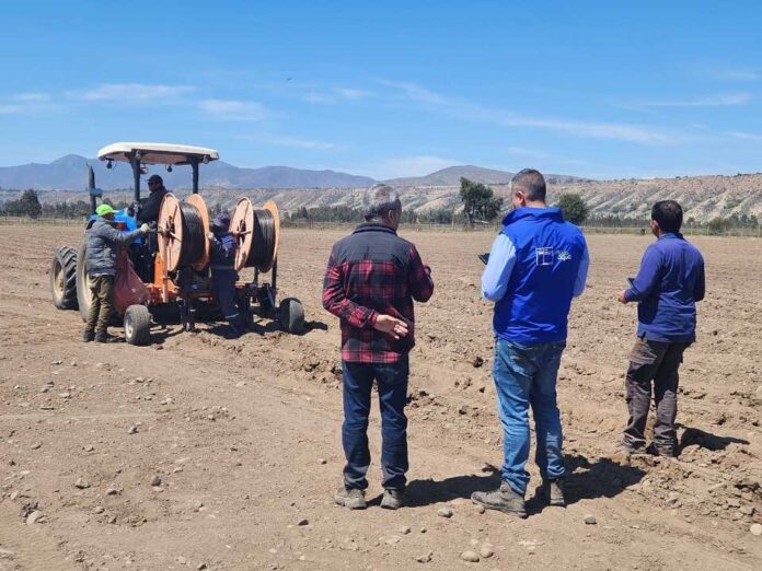 CNR bonifica sistema de riego subterráneo que optimiza el uso del agua en beneficio de pequeño agricultor de Limarí