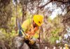 CONAF Arica busca a las y los mejores brigadistas forestales para temporada 2025 -2026