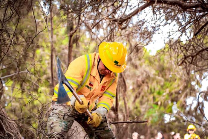 CONAF Arica busca a las y los mejores brigadistas forestales para temporada 2025 -2026