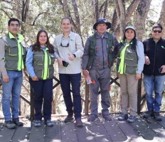CONAF apoya la conservación del Parque Huintil en Illapel CONAF apoya la conservación del Parque Huintil en Illapel