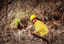 CONAF capacitó más de 100 militares de Arica en prevención y control de Incendios Forestales
