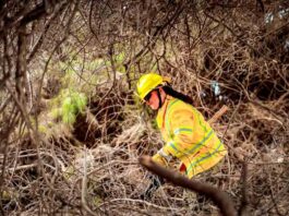 CONAF capacitó más de 100 militares de Arica en prevención y control de Incendios Forestales