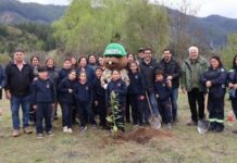 CONAF realizó jornada de reforestación en Escuela del sector Vega El Molino de Longaví
