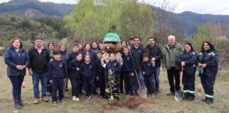 CONAF realizó jornada de reforestación en Escuela del sector Vega El Molino de Longaví