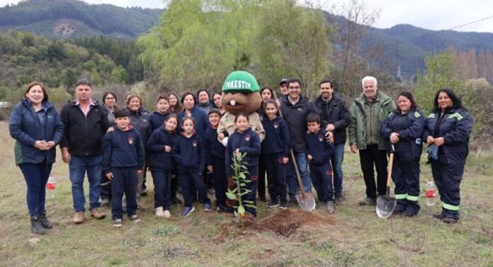 CONAF realizó jornada de reforestación en Escuela del sector Vega El Molino de Longaví