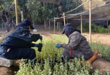 CONAF valora compromiso de trabajadores del PEE en Vivero de Illapel