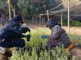 CONAF valora compromiso de trabajadores del PEE en Vivero de Illapel
