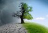 Cambio climático: verdad o falacia