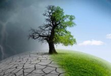 Cambio climático: verdad o falacia