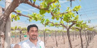 Carlos Zúñiga: “la eficiencia hídrica va más allá de encender y apagar bombas de agua…” Carlos Zúñiga: “la eficiencia hídrica va más allá de encender y apagar bombas de agua…”