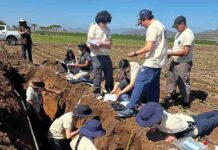 Ciencia, sostenibilidad y colaboración marcan el Congreso Nacional de la Ciencia del Suelo 2025 Ciencia, sostenibilidad y colaboración marcan el Congreso Nacional de la Ciencia del Suelo 2025