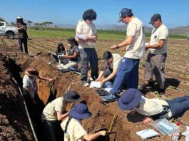 Ciencia, sostenibilidad y colaboración marcan el Congreso Nacional de la Ciencia del Suelo 2025 Ciencia, sostenibilidad y colaboración marcan el Congreso Nacional de la Ciencia del Suelo 2025