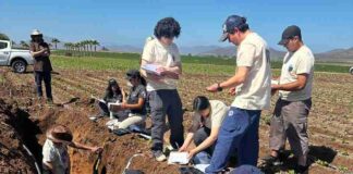 Ciencia, sostenibilidad y colaboración marcan el Congreso Nacional de la Ciencia del Suelo 2025 Ciencia, sostenibilidad y colaboración marcan el Congreso Nacional de la Ciencia del Suelo 2025