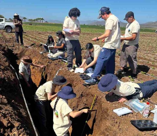 Ciencia, sostenibilidad y colaboración marcan el Congreso Nacional de la Ciencia del Suelo 2025